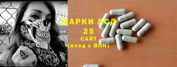 ГАЛЛЮЦИНОГЕННЫЕ ГРИБЫ Бикин