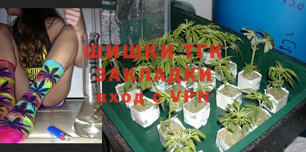 ПСИЛОЦИБИНОВЫЕ ГРИБЫ Алзамай