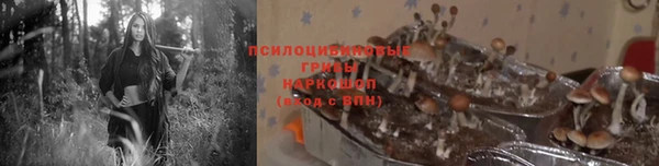 ПСИЛОЦИБИНОВЫЕ ГРИБЫ Алзамай