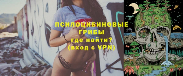 PSILOCYBIN Алексин