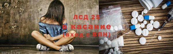 ПСИЛОЦИБИНОВЫЕ ГРИБЫ Алзамай