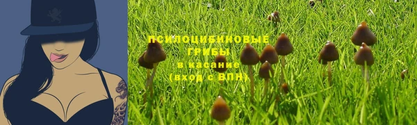 PSILOCYBIN Алексин