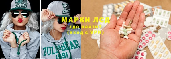 ПСИЛОЦИБИНОВЫЕ ГРИБЫ Алзамай