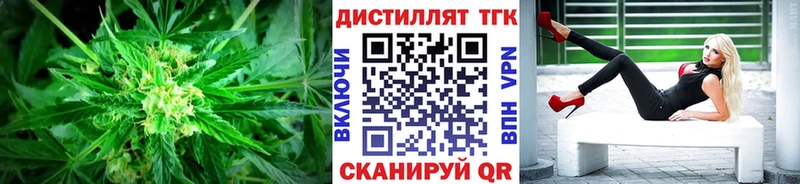 ТГК Wax  Алзамай 
