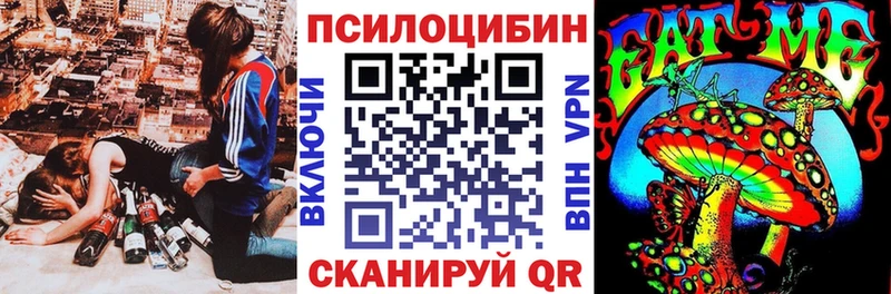 наркошоп  Алзамай  Псилоцибиновые грибы Cubensis 