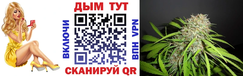 Бошки марихуана планчик  гидра зеркало  Алзамай 